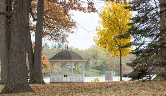 Berrien Springs, MI areas service